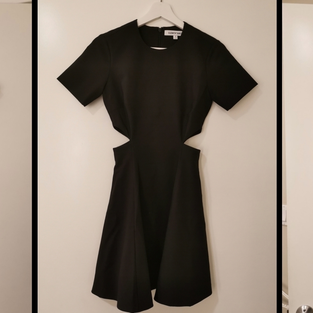 Elizabeth and james Leonie cocktail dress